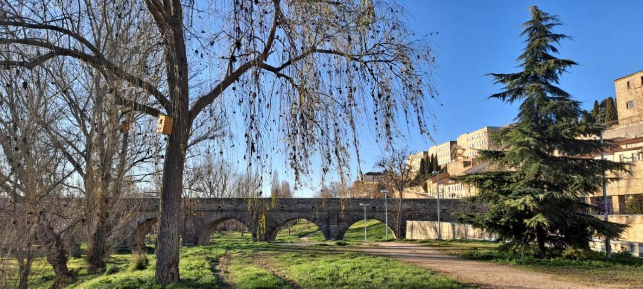 Encrucijada De Culturas Daire Salamanca Dış mekan fotoğraf